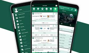 BetWinner Online Casino Ultimate Guide to Gaming Fun